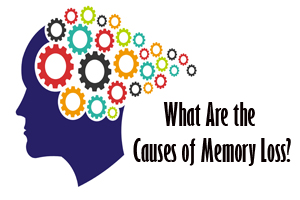 What Are the Causes of Memory Loss?