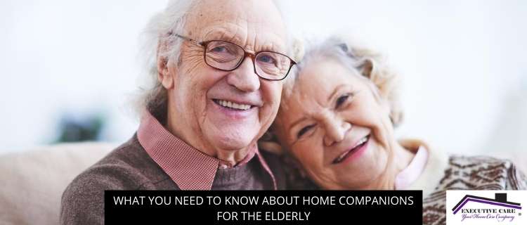 What You Need To Know About Home Companions For The Elderly