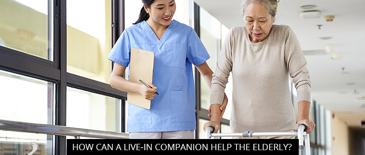 How Can A Live-In Companion Help The Elderly?