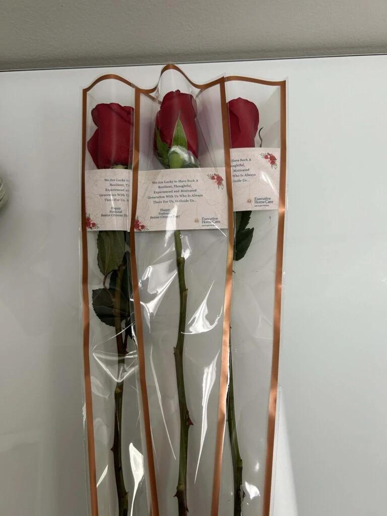 Three individually wrapped red roses displayed upright against a wall, each with a printed message card attached.